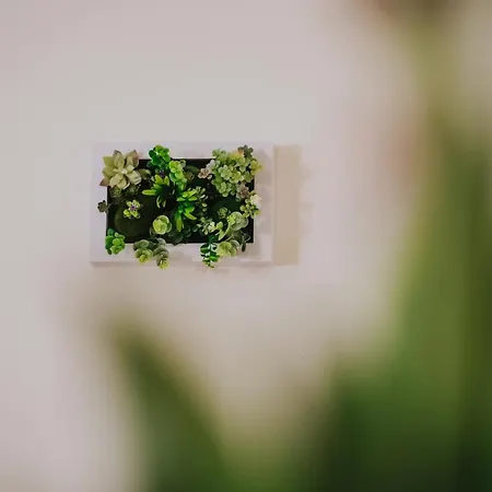 Domus Cese Affittacamere Agrigento