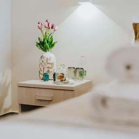 Domus Cese Affittacamere