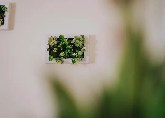 Domus Cese Guest house Agrigento