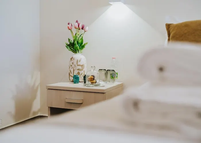 Domus Cese Guest house